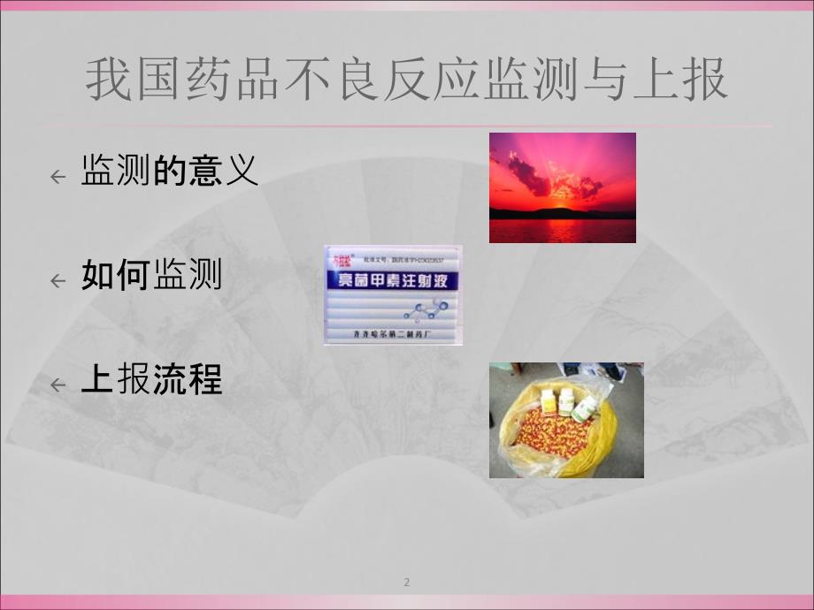 药品不良反应培训ppt课件.ppt_第2页