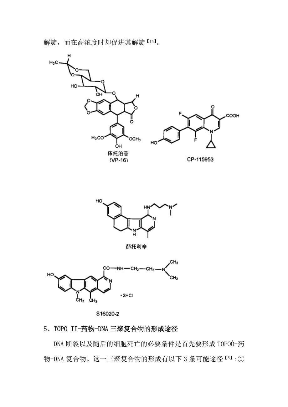 以DNA拓扑异构酶II为靶点的抗癌药物-依托泊苷(VP16).doc_第5页