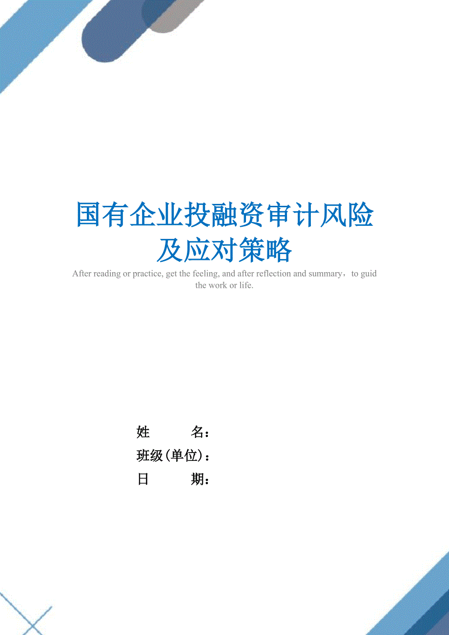 国有企业投融资审计风险及应对策略_第1页