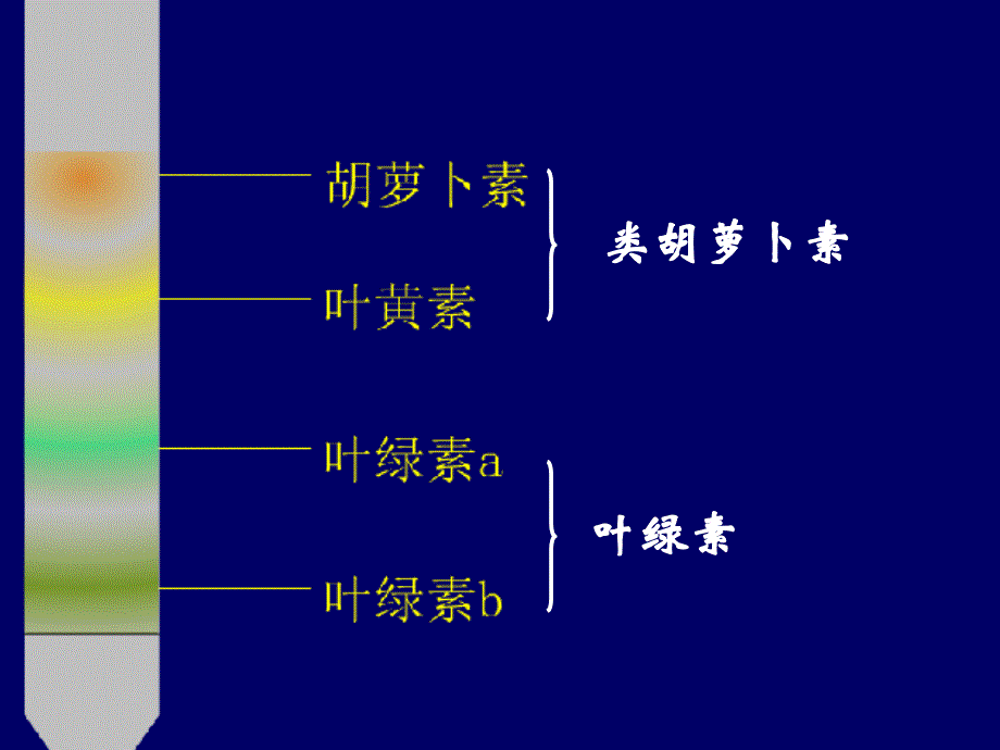 高一新课光合作用_第3页