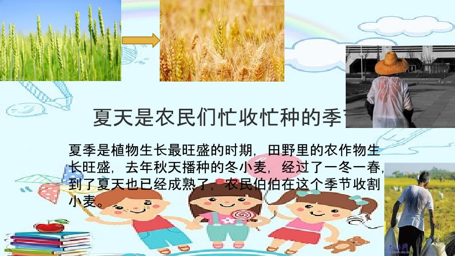 《夏天来了》幼儿园小班教案课件.ppt_第3页