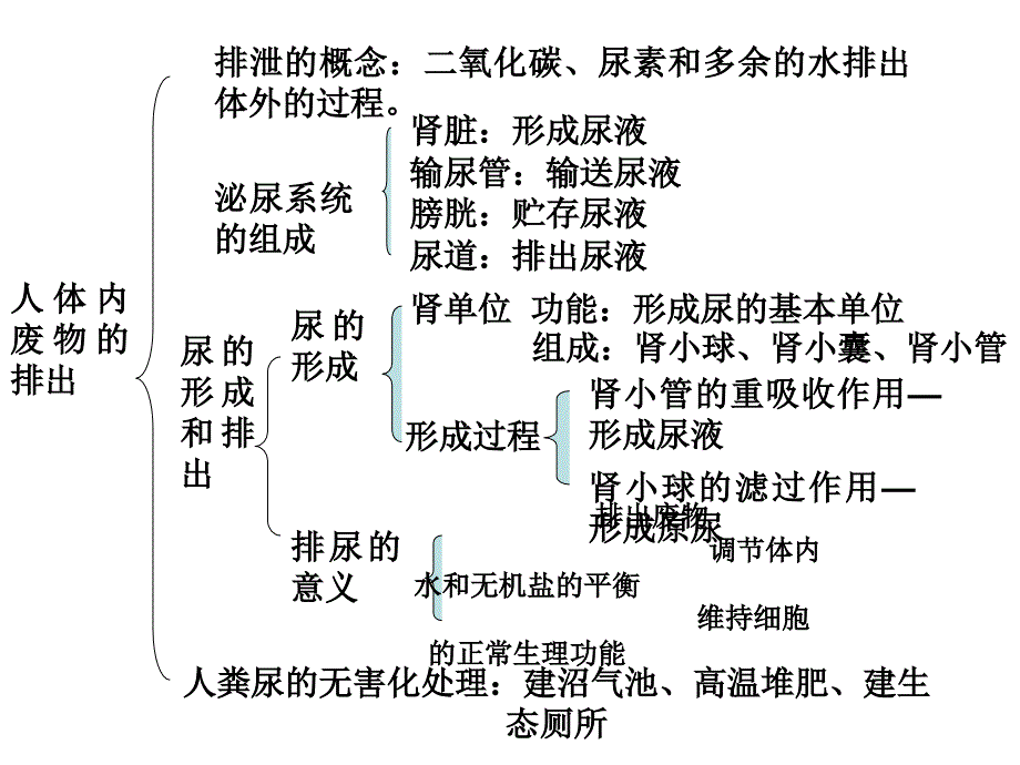 人体内废物的排出复习_第1页