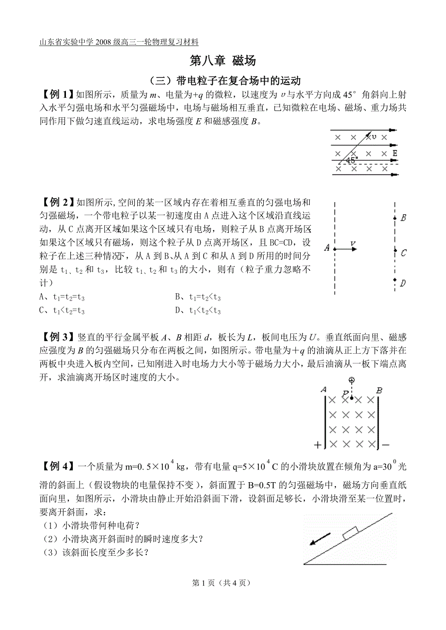 08磁场3带电粒子在复合场中的运动.doc_第1页