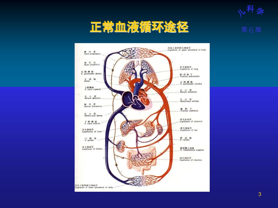 先天性心脏病ppt课件_第3页