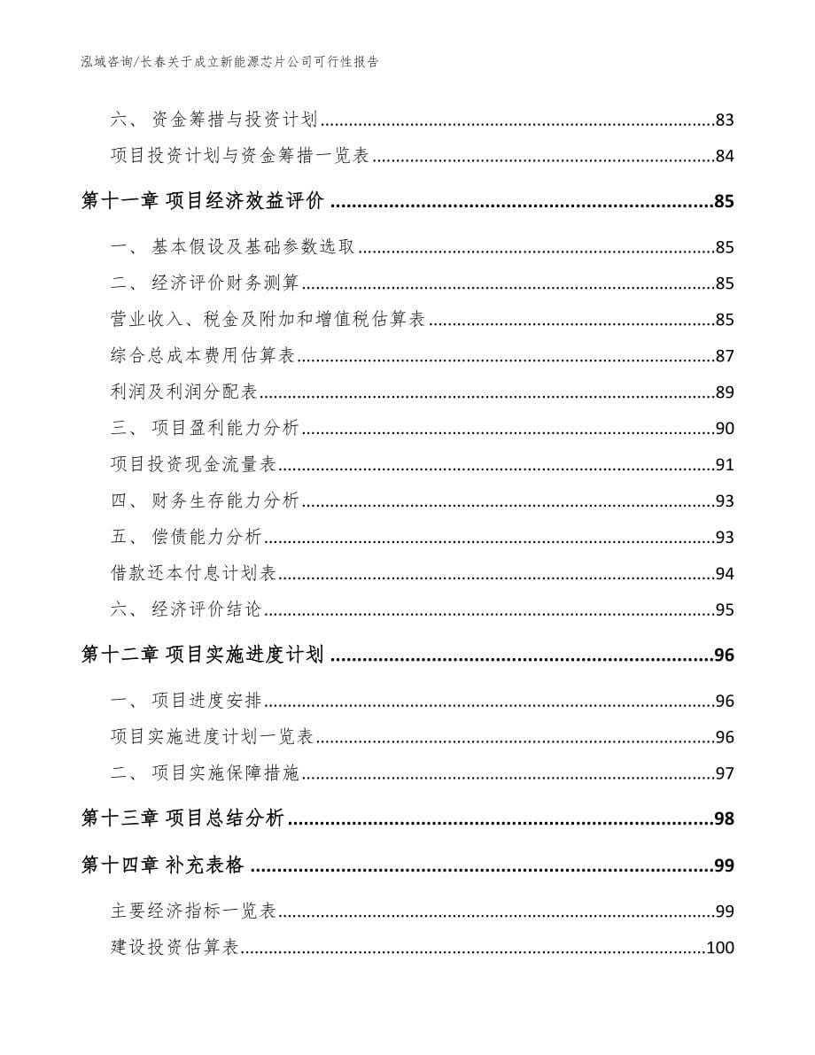 长春关于成立新能源芯片公司可行性报告模板_第5页