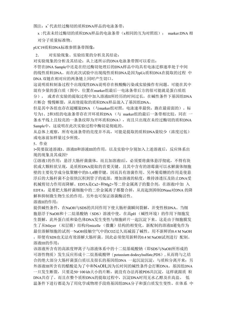 质粒DNA的提取及其琼脂糖凝胶电泳实验报告及思考题_第5页