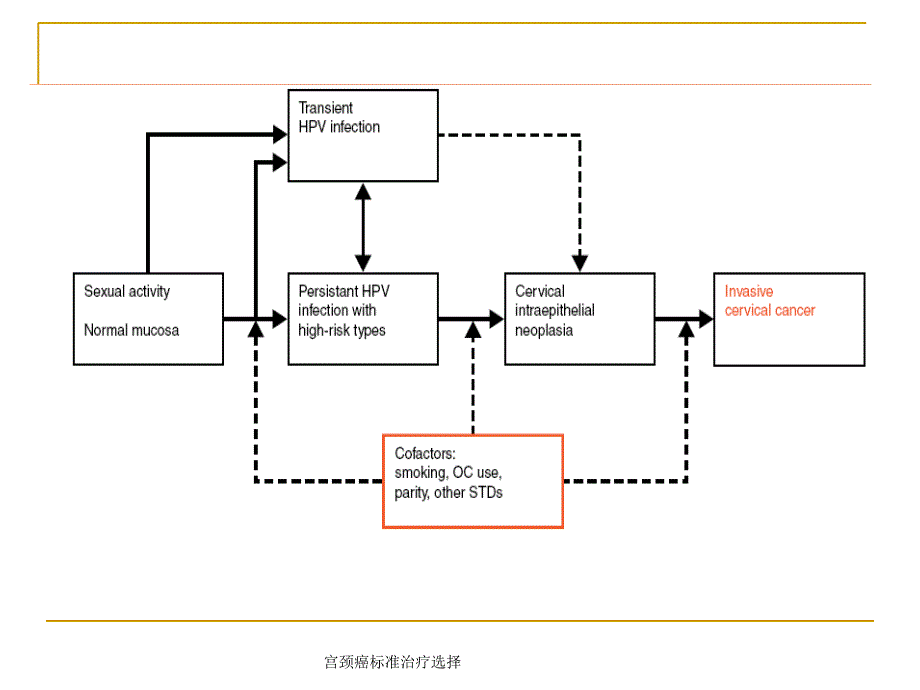 宫颈癌标准治疗选择课件_第4页