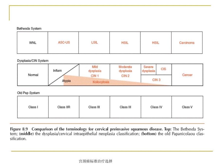 宫颈癌标准治疗选择课件_第5页