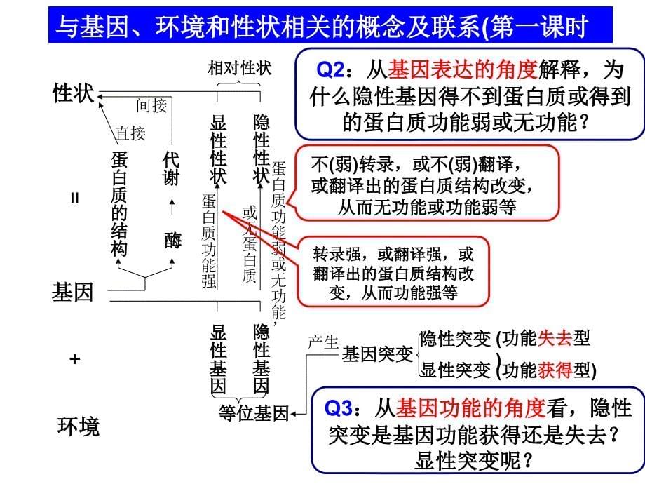 遗传与变异中的概念联系_第5页