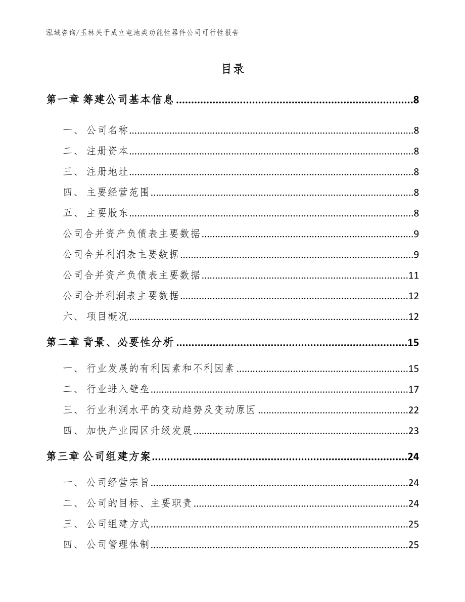 玉林关于成立电池类功能性器件公司可行性报告模板范文_第2页