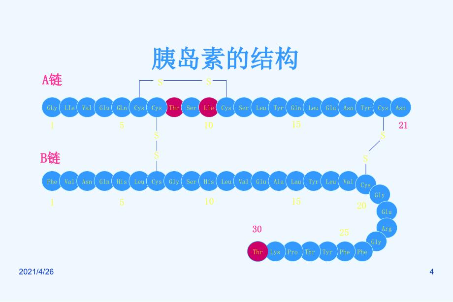 糖尿病的胰岛素治疗_第4页