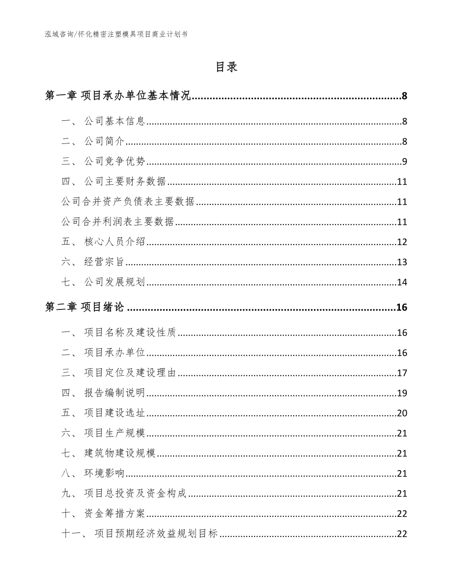 怀化精密注塑模具项目商业计划书模板范本_第2页