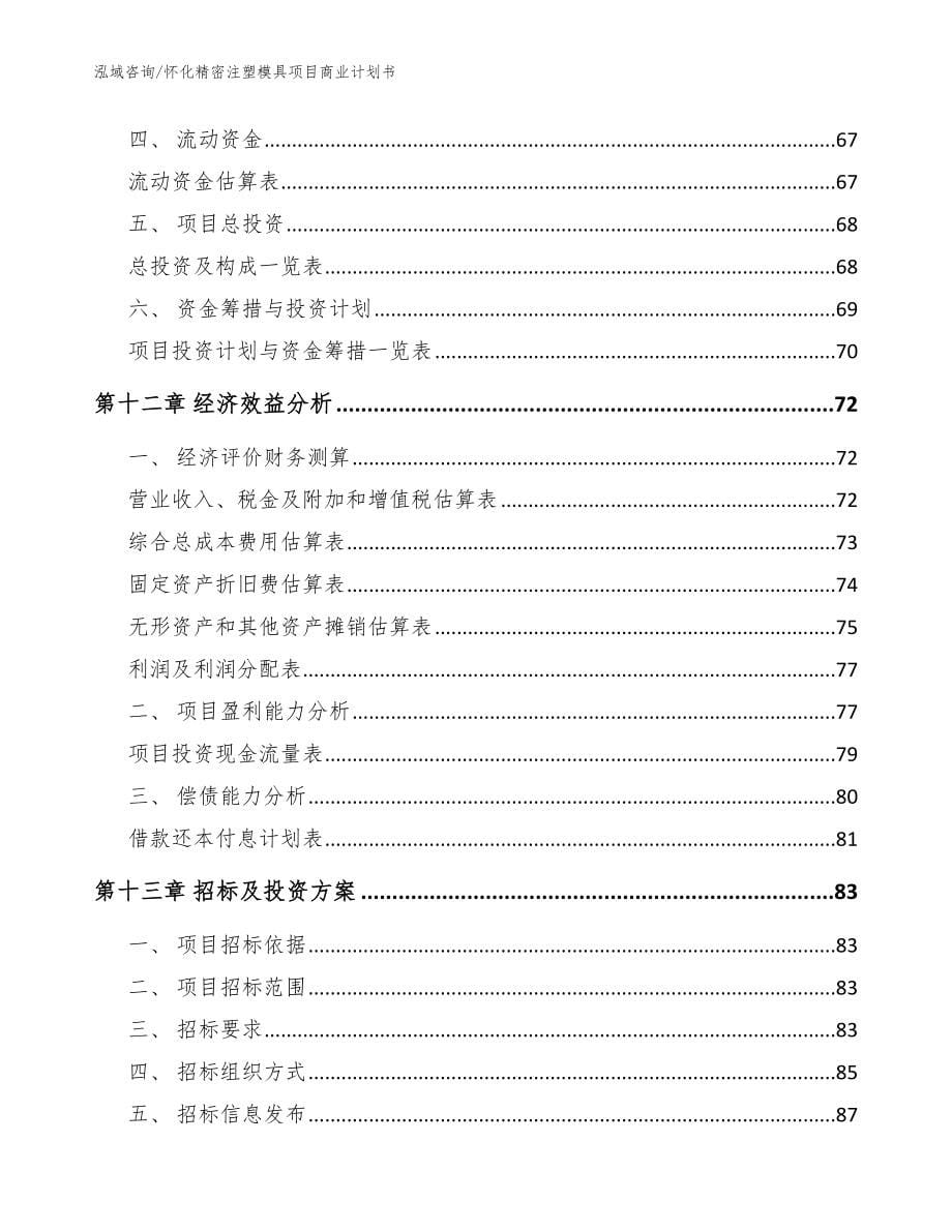 怀化精密注塑模具项目商业计划书模板范本_第5页