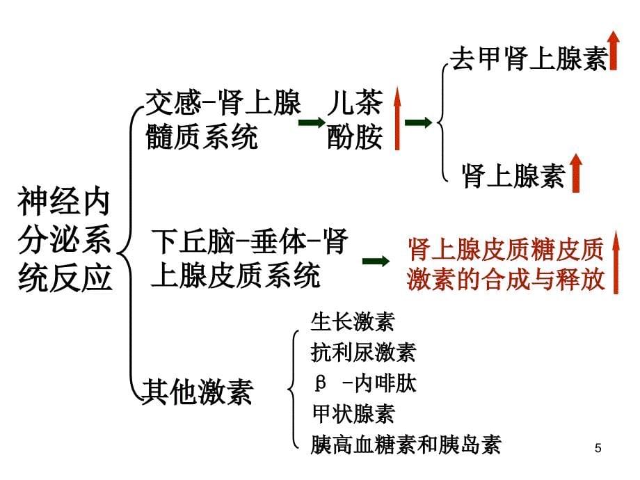 第二章创伤急救的基本知识2_第5页