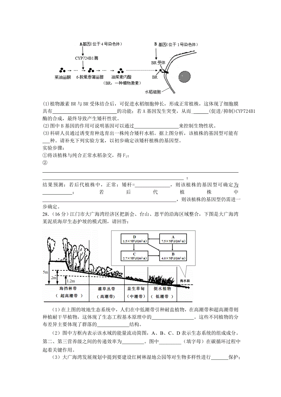 广东省江门市2015届高三3月模拟考试 理综试卷.doc_第3页