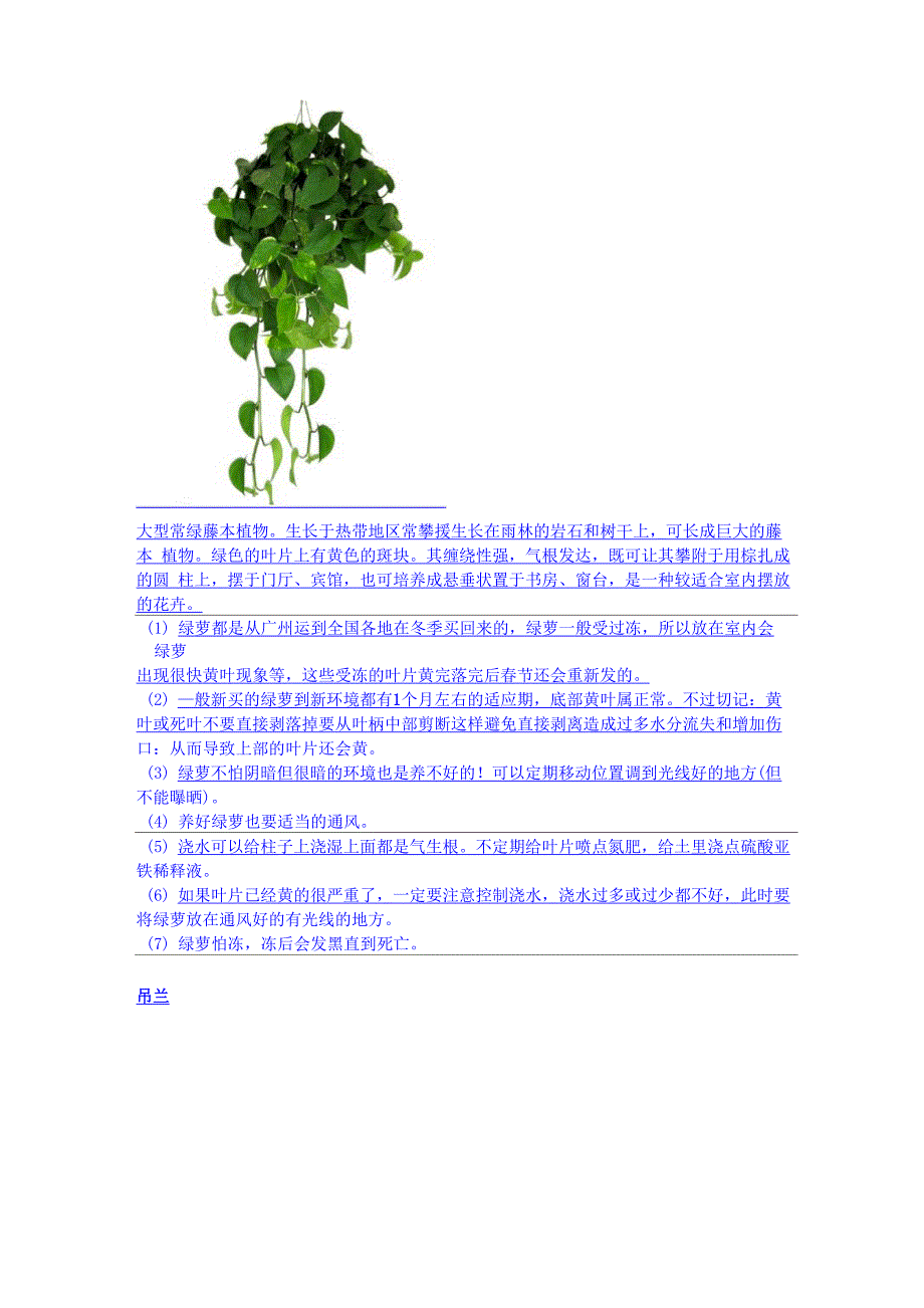 吸甲醛的植物_第2页