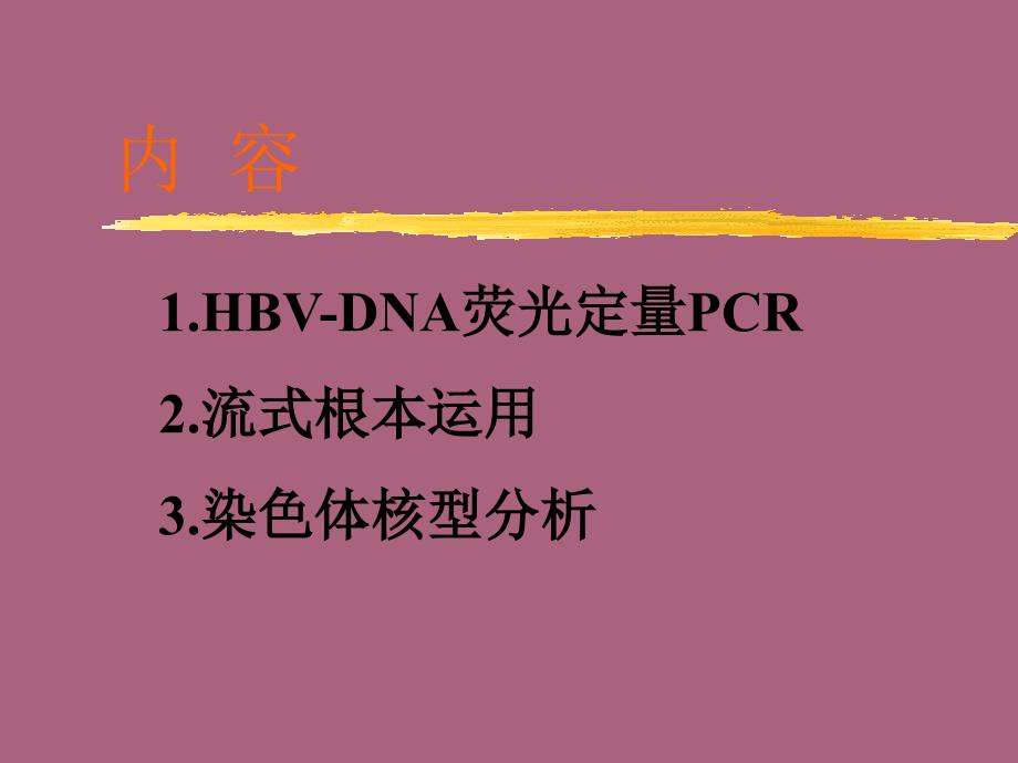 分子诊断项目ppt课件_第2页