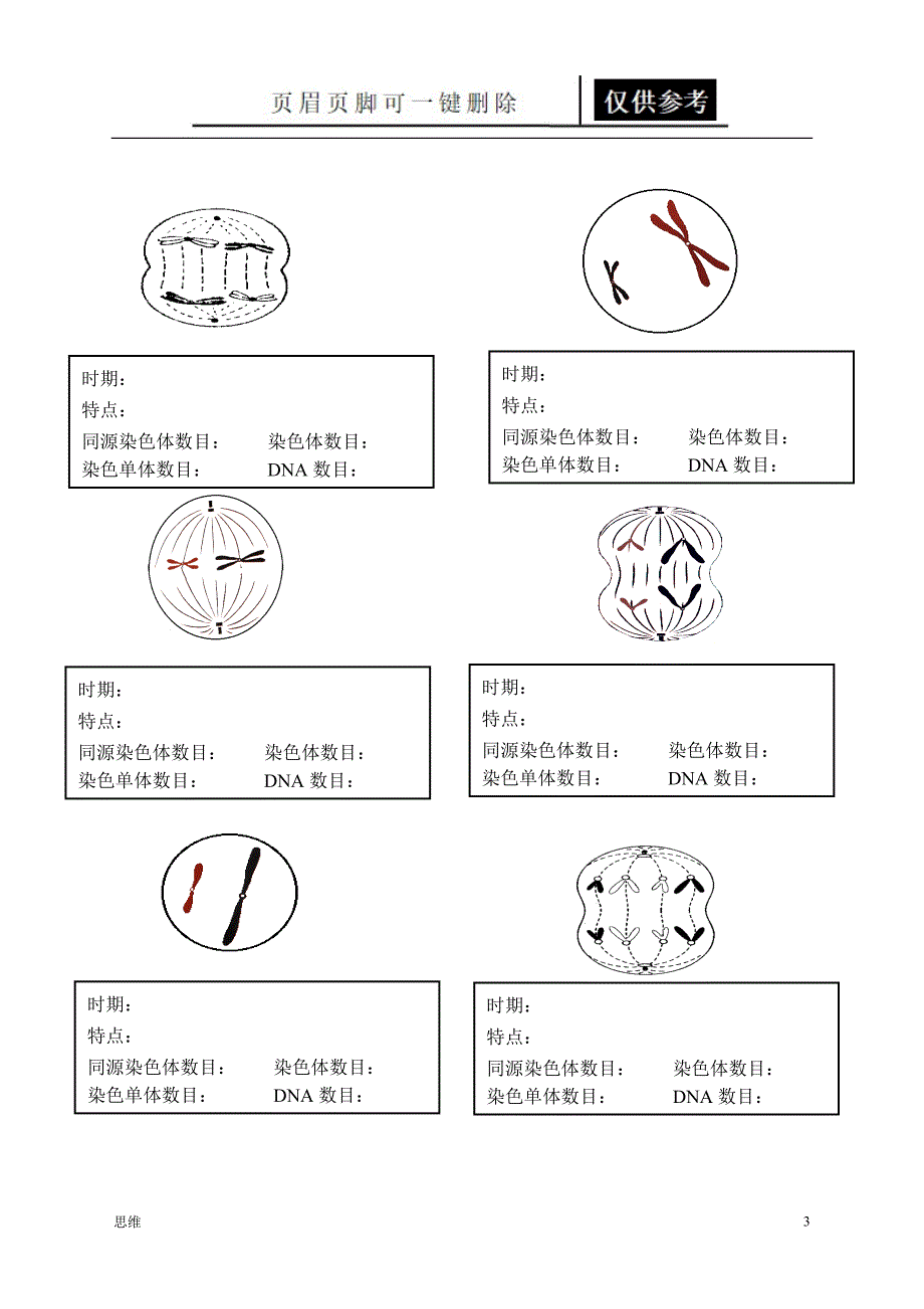 生物必修二学考必背知识点[教资材料]_第3页