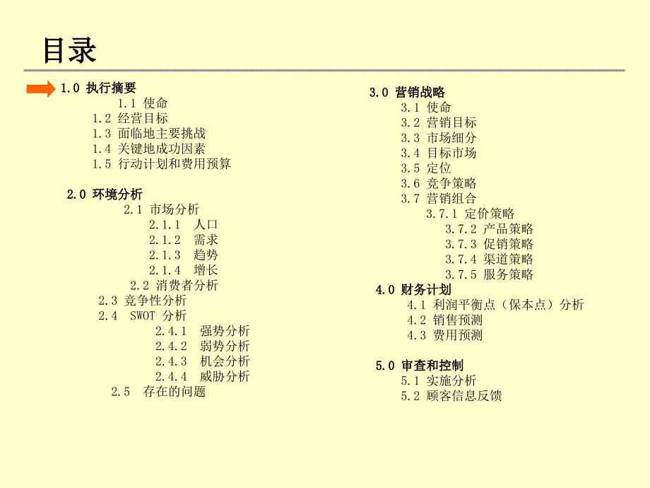 年度营销计划_第4页