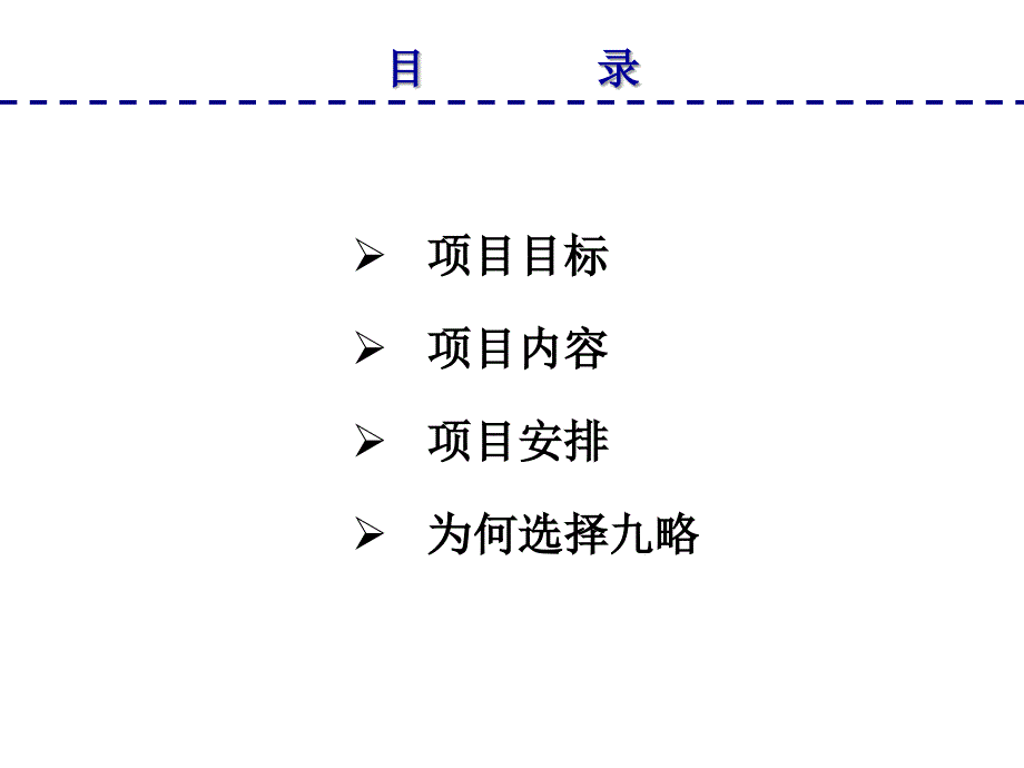 XX项目建议书_第2页