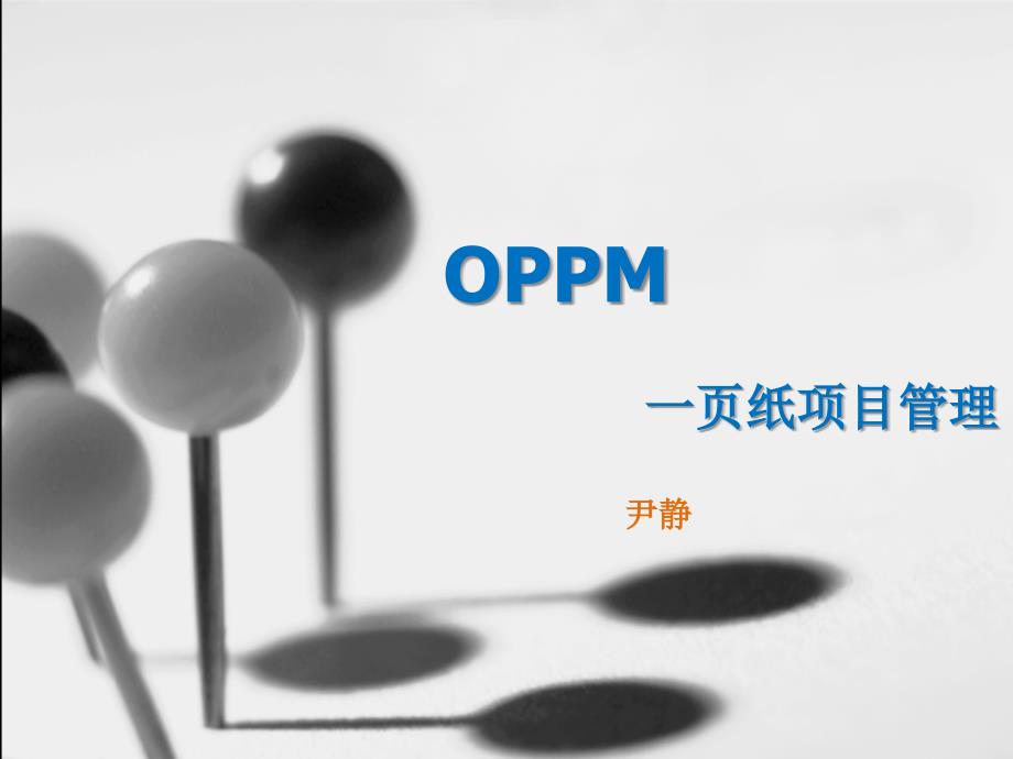 OPPM：一页纸项目管理_第1页