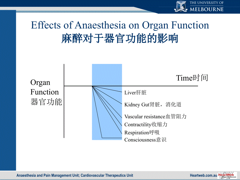 麻醉与器官保护_第2页