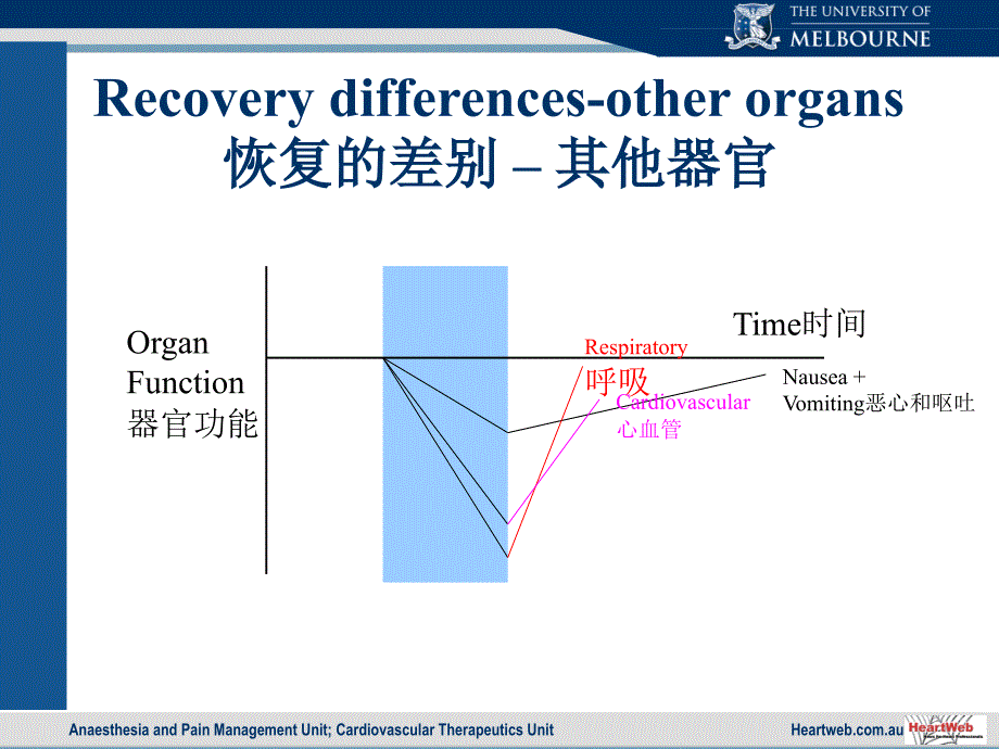 麻醉与器官保护_第4页