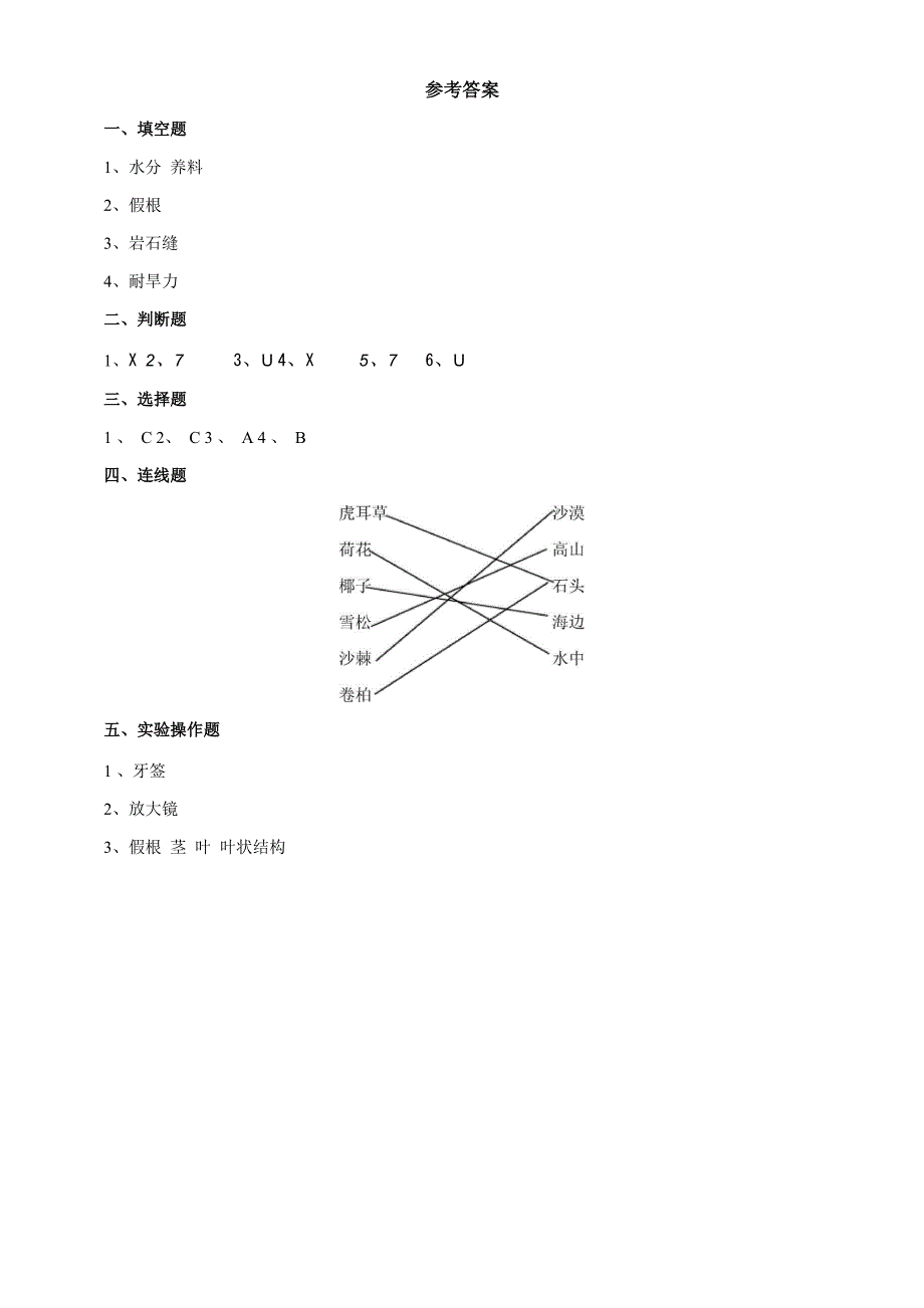 《石头上的植物》名师练习_第4页