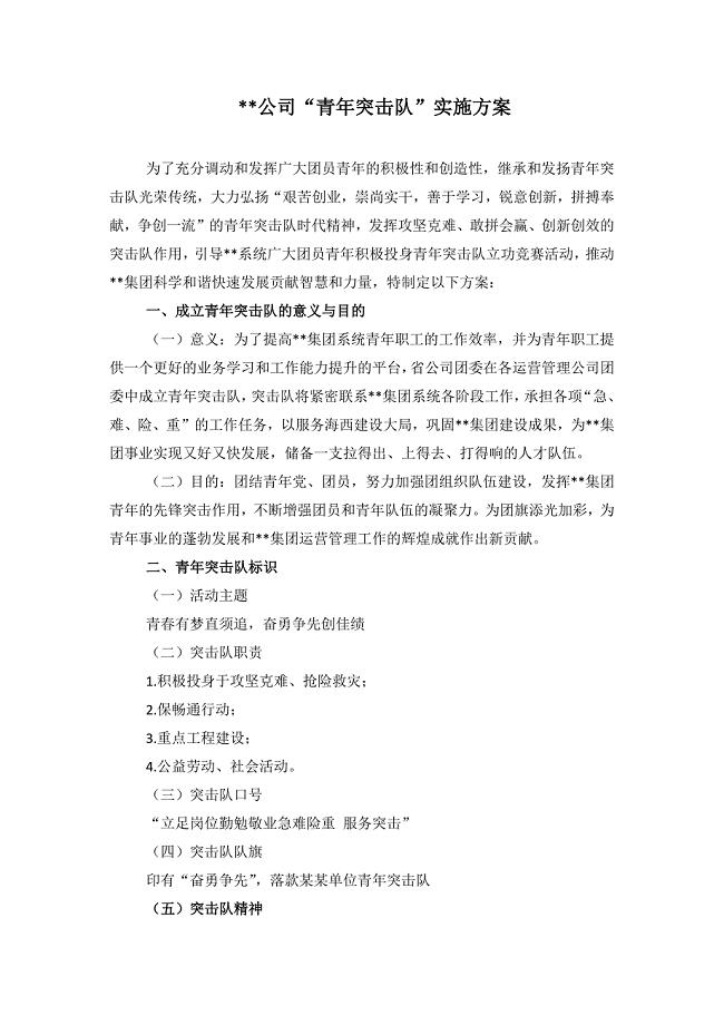 2017年青年突击队实施方案