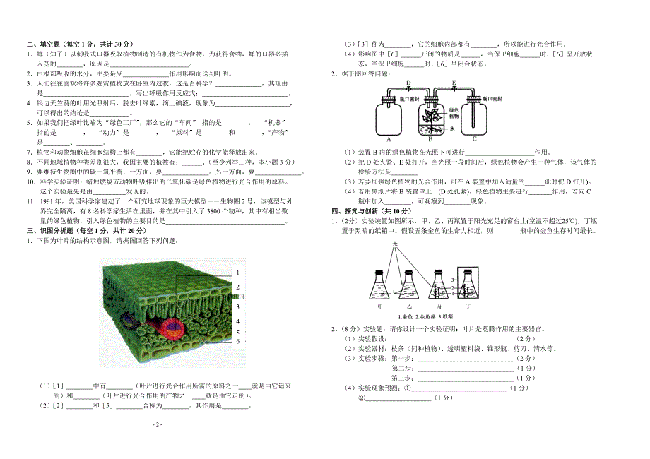 植物生命活动测试题.doc_第2页