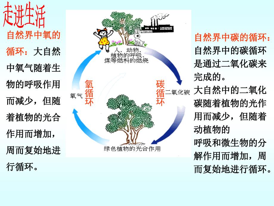 鲁教版初中化学课标版九年级全册第四单元第一节空气的成分_第2页