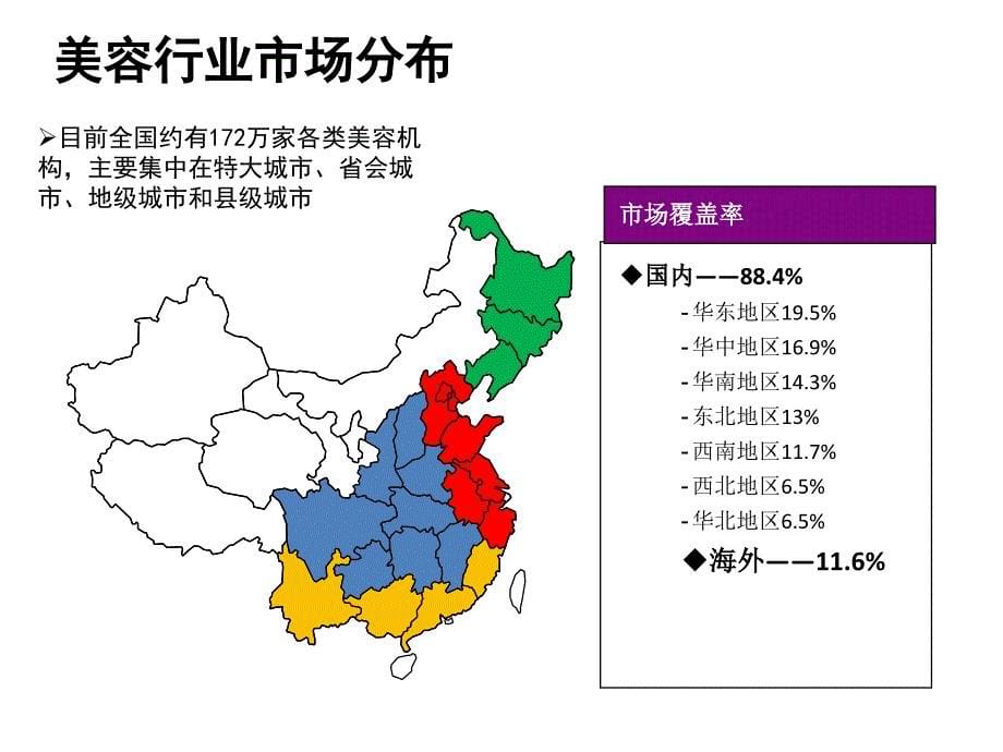 美容美体行业分析PPT通用课件_第5页