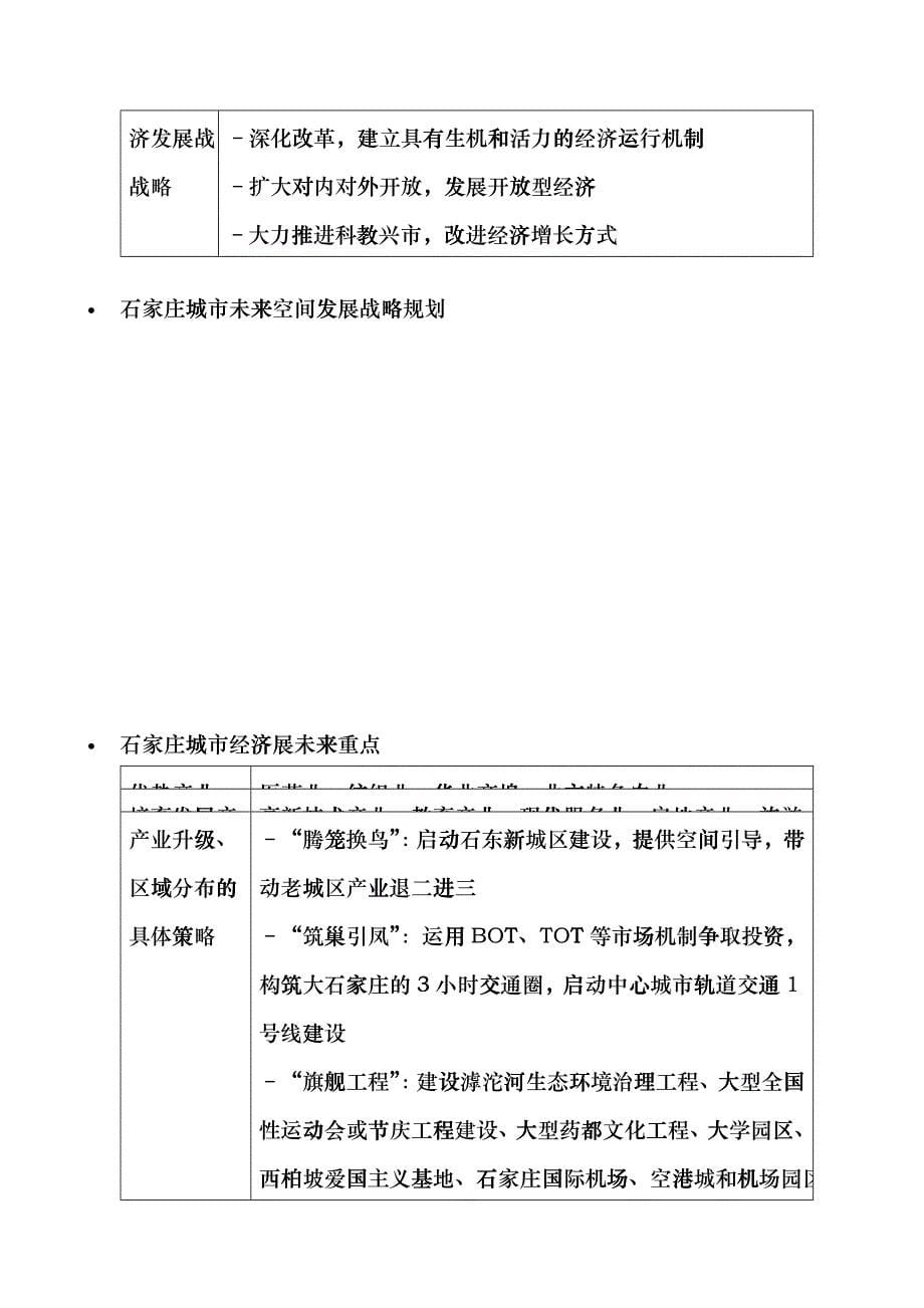 石家庄三年营销规划修改版_第5页