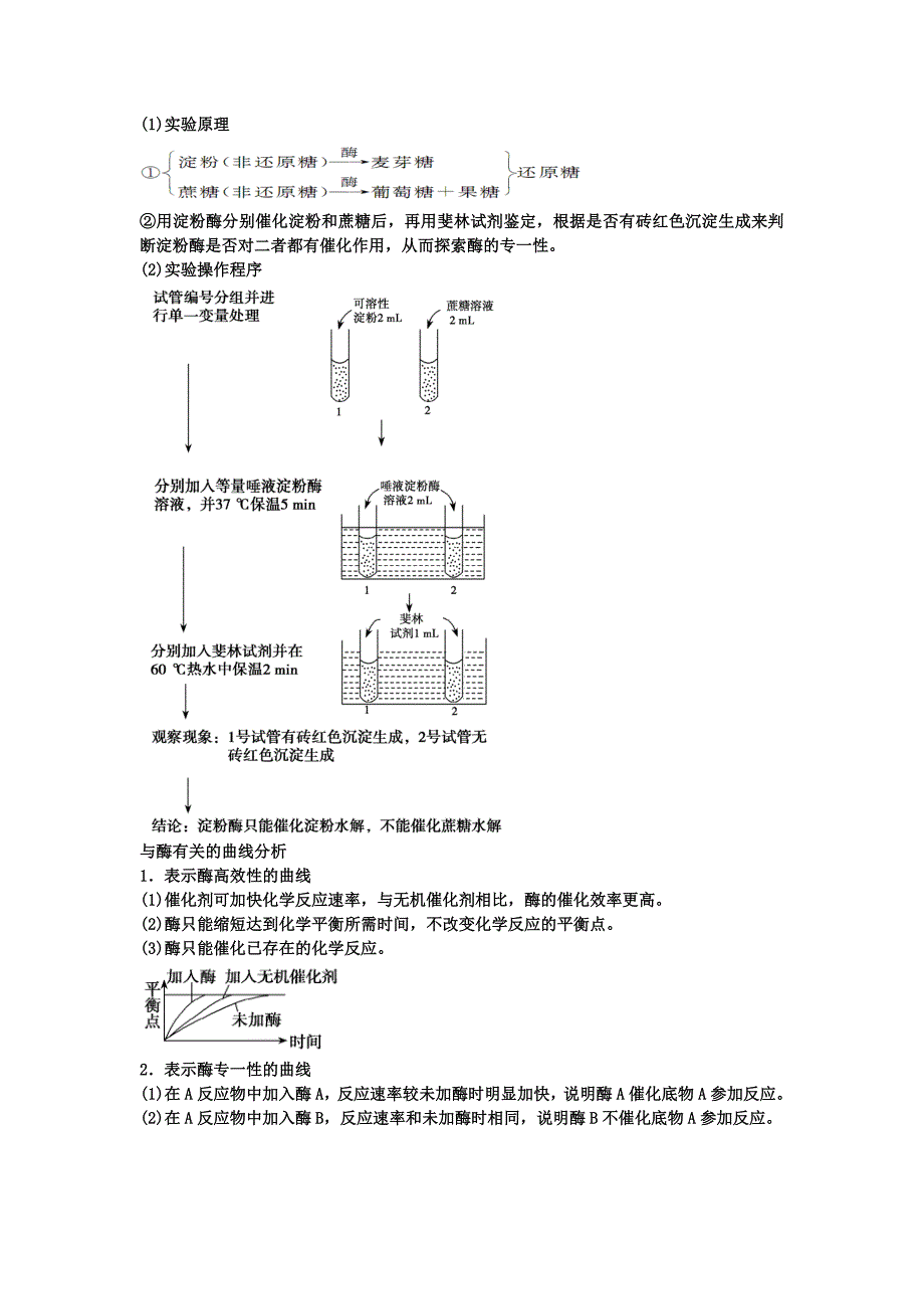 酶的本质作用及其实验验证（教育精品）_第4页