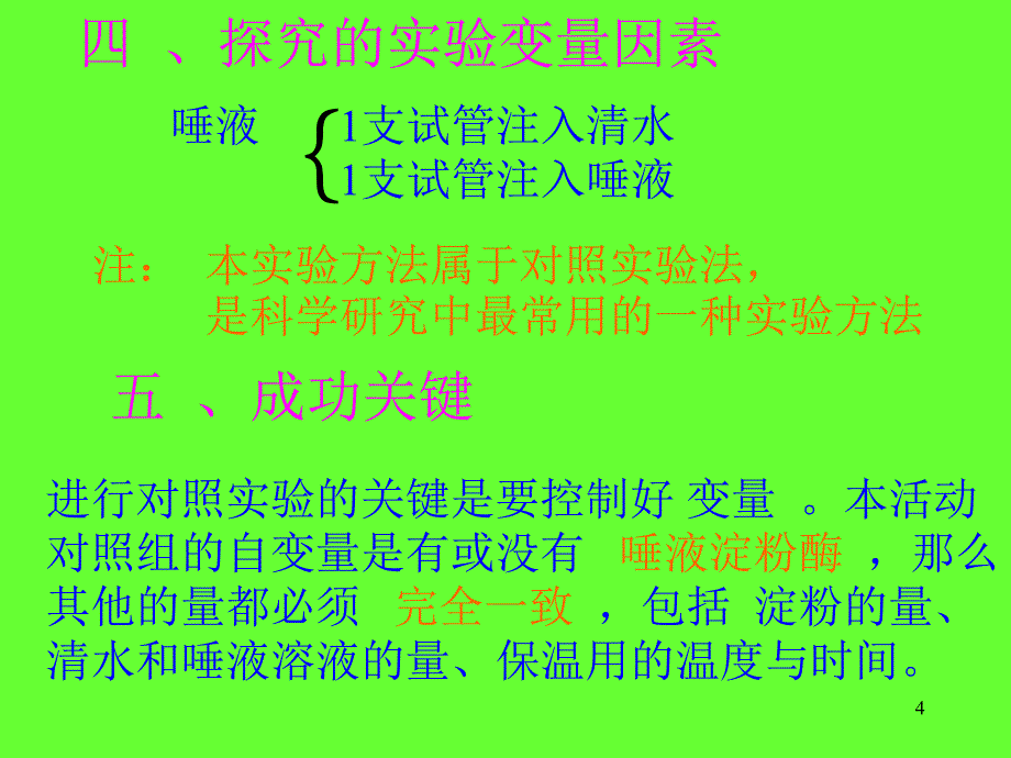 唾液淀粉酶的消化作用PPT_第4页