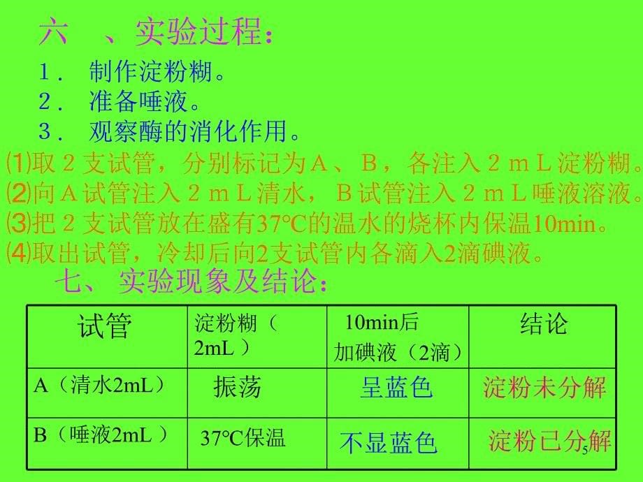 唾液淀粉酶的消化作用PPT_第5页