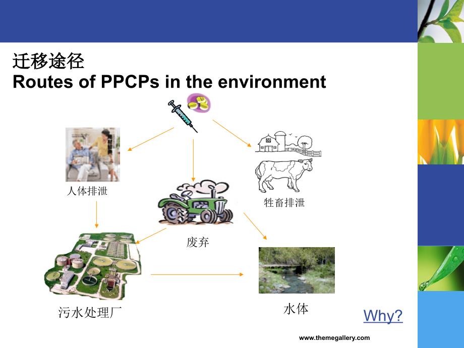 新生环境污染物PPCPs分析方法的建立与评价_第4页