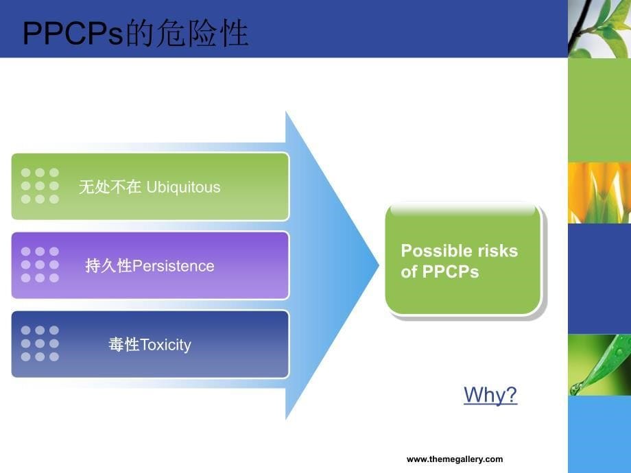 新生环境污染物PPCPs分析方法的建立与评价_第5页