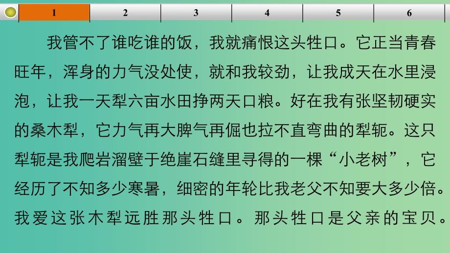 高考语文大一轮总复习 散文阅读 赏析散文形象题题组训练课件 新人教版.ppt_第4页