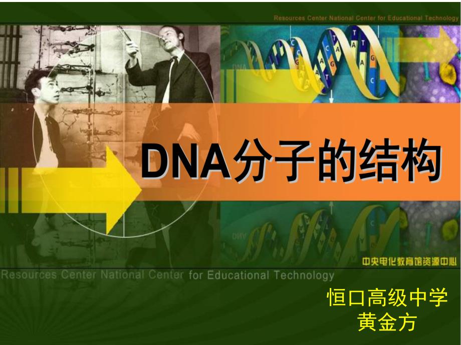 DNA分子结构课件1_第1页