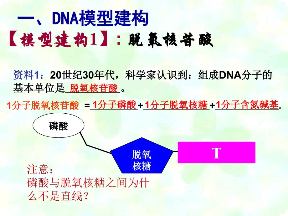 DNA分子结构课件1_第4页