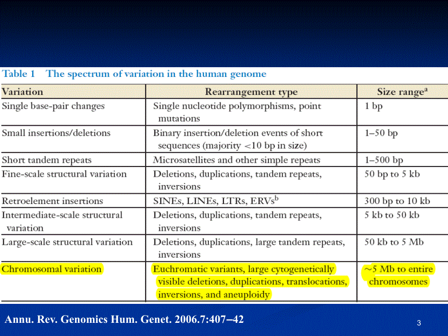 细胞遗传学染色体畸变一_第3页