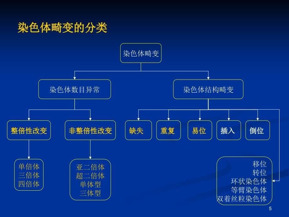 细胞遗传学染色体畸变一_第5页