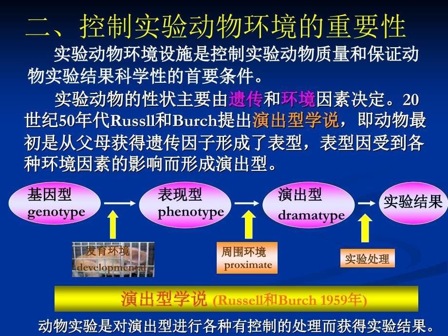 实验动物学 实验动物饲养与应用条件的标准化课件_第5页