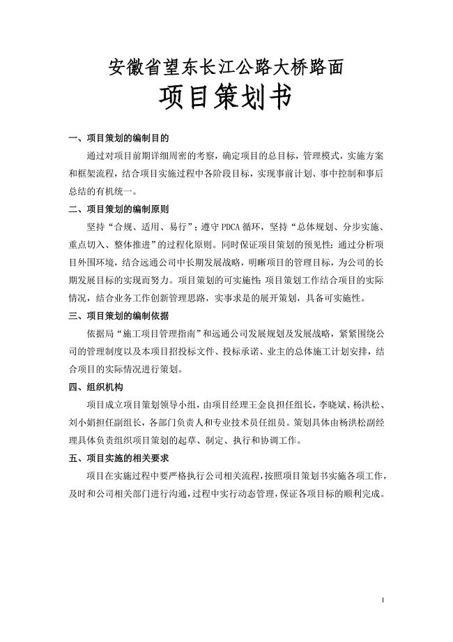 路面项目策划书