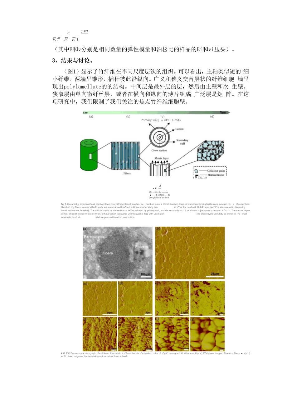 高分子材料——中文翻译_第3页