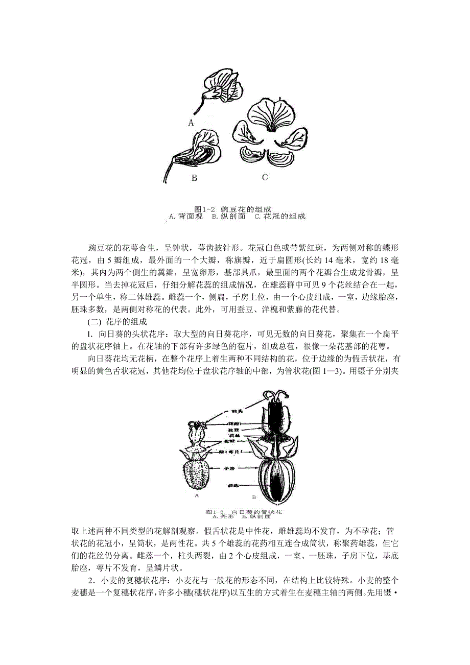 植物胚胎学实验1(花的形态结构解剖观察).doc_第2页