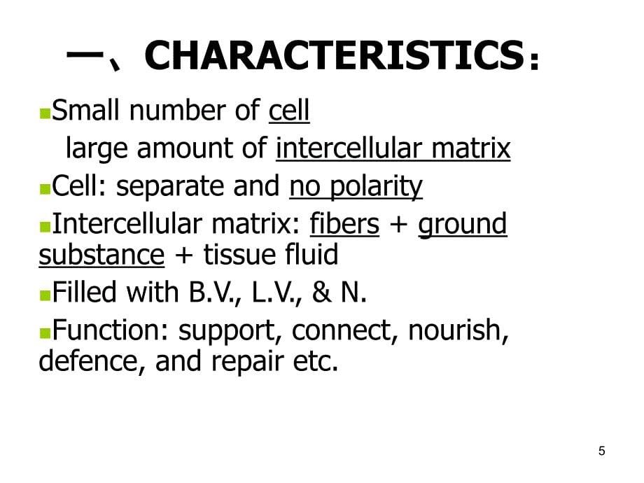 组织学与胚胎学-结缔组织通用课件_第5页