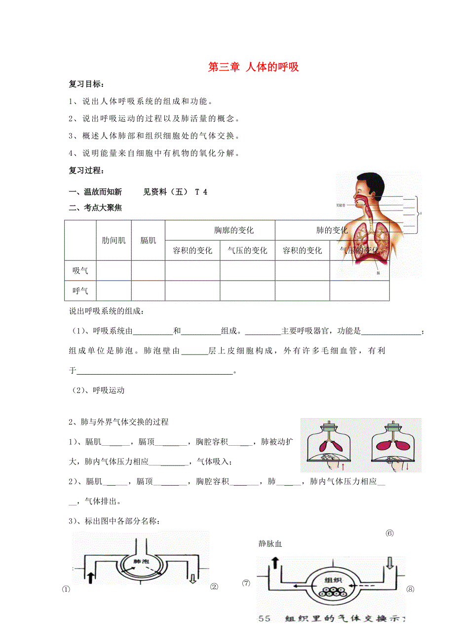 七年级生物下第四单元第三章人体的呼吸复习学案人教新课标版_第1页