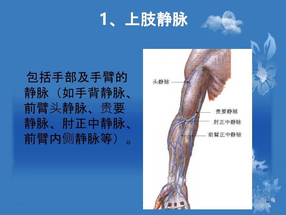 静脉治疗PPT课件1_第5页